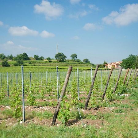 Agriturismo Albarello Sona Ngoại thất bức ảnh