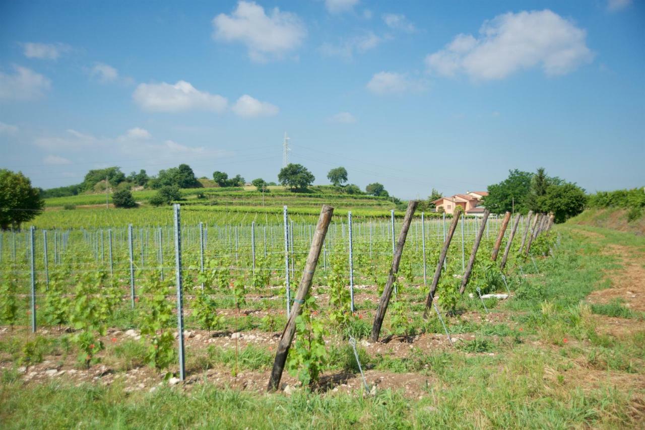 Agriturismo Albarello Sona Ngoại thất bức ảnh